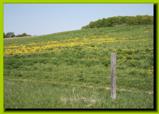 fairviewfarmsapiary005015.jpg